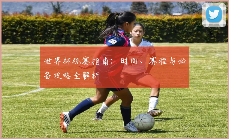 世界杯观赛指南：时间、赛程与必备攻略全解析
